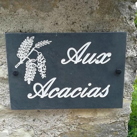 Aux Acacias Villa Braye-sous-Faye Ngoại thất bức ảnh