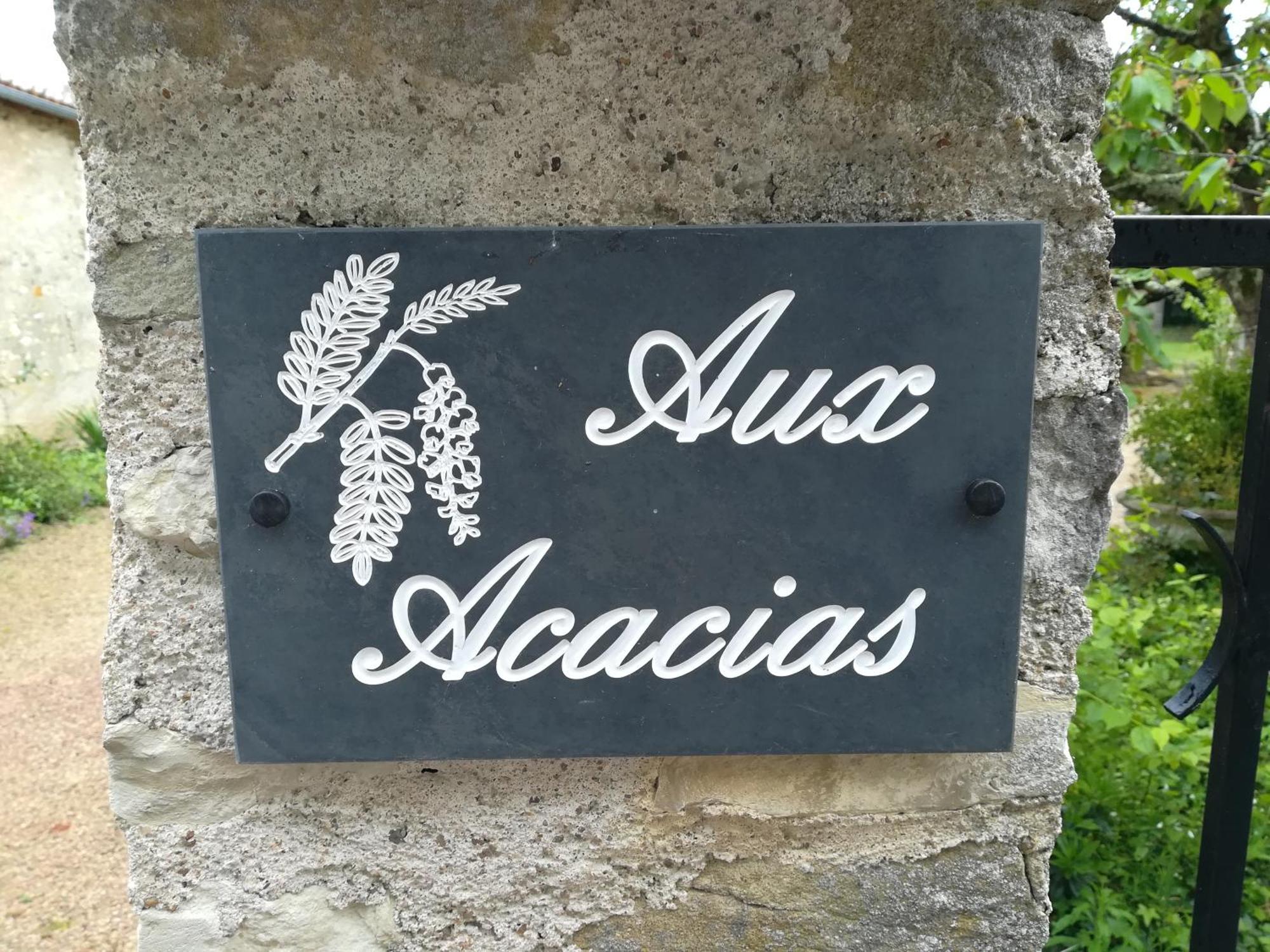 Aux Acacias Villa Braye-sous-Faye Ngoại thất bức ảnh
